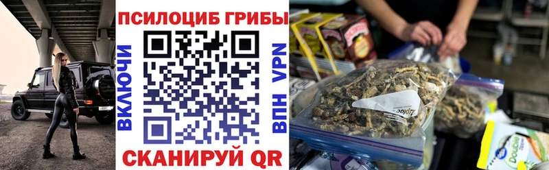 Псилоцибиновые грибы MAGIC MUSHROOMS  Купить где  Котовск 